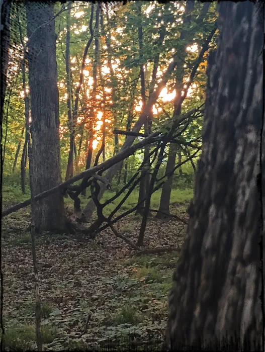 George Wyth State Park Campground 5