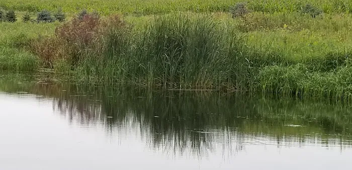 Oakwoods Trails Campground 3
