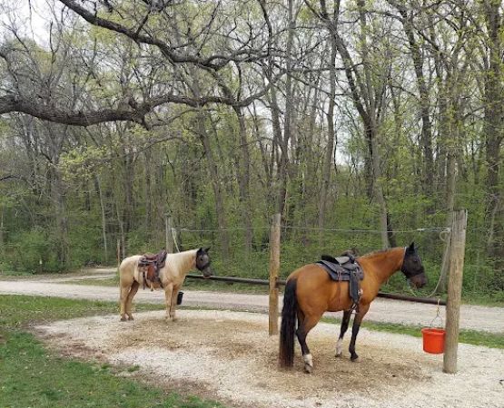 Forestville State Park Equestrian Campground