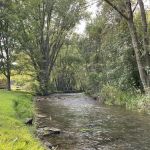 Maple Springs Campground