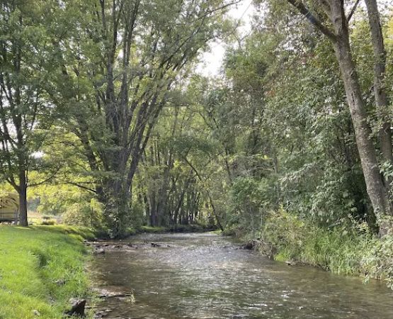 Maple Springs Campground