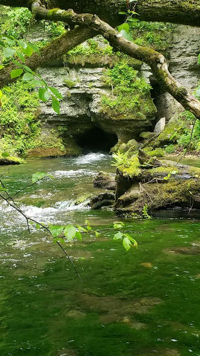 Maple Springs Campground 4