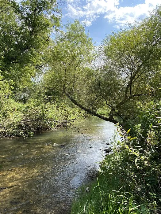 Maple Springs Campground 8