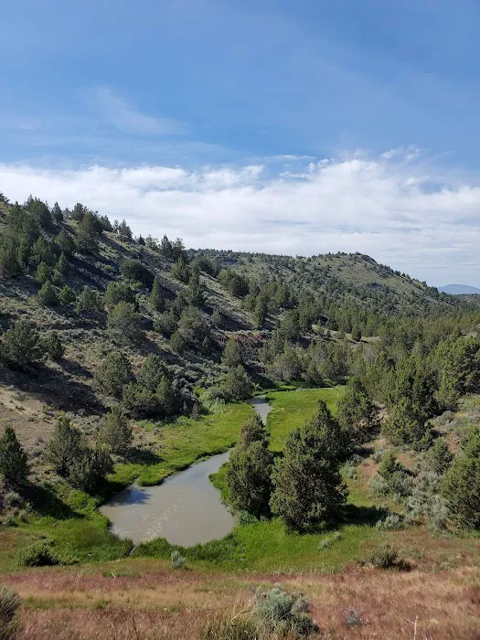 BLM Dodge Reservoir campground 3