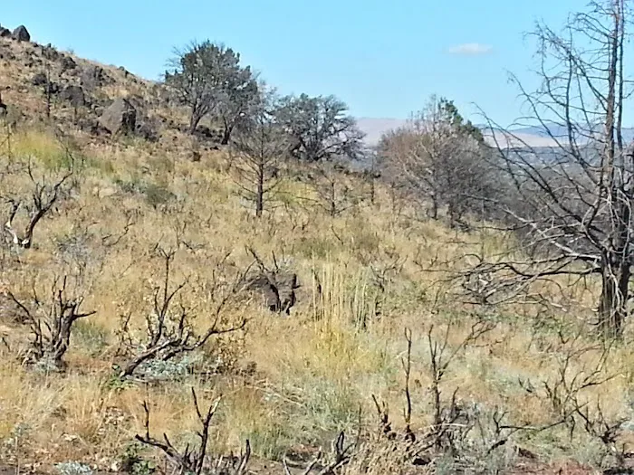 BLM Dodge Reservoir campground 5