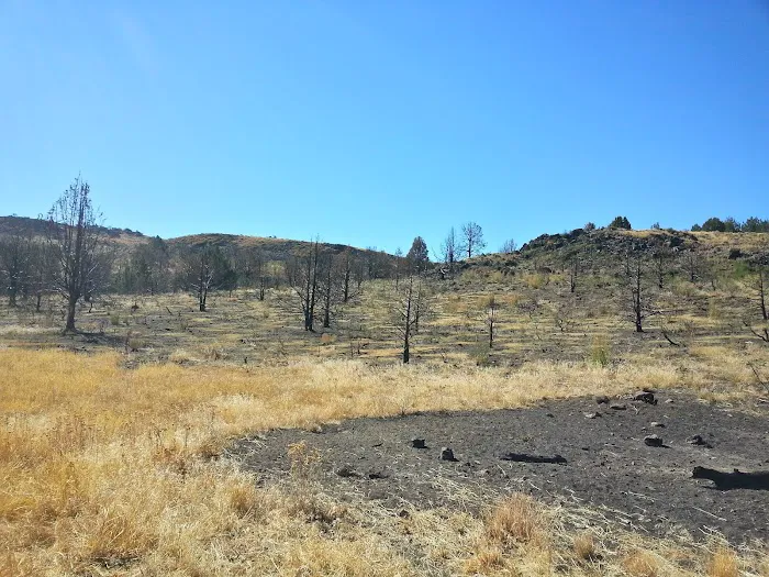 BLM Dodge Reservoir campground 8