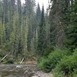 Hidden Creek Campground