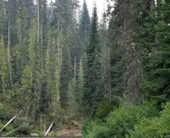 Hidden Creek Campground