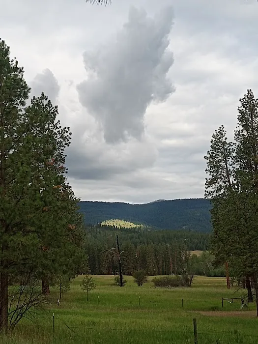 Nellie Sue Campground 2