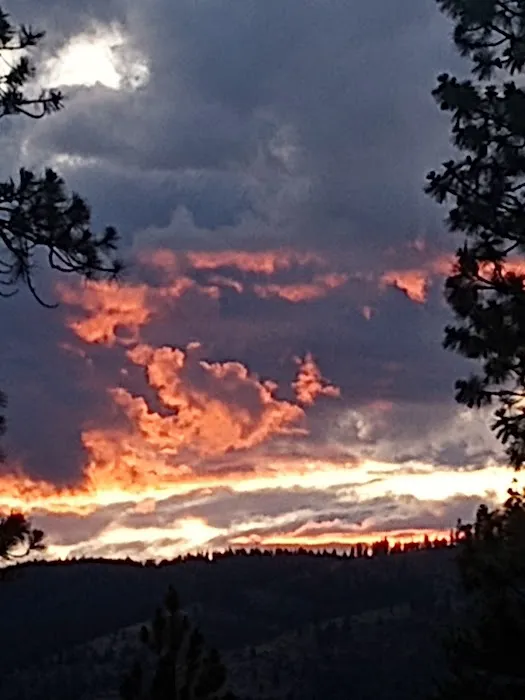Nellie Sue Campground 4