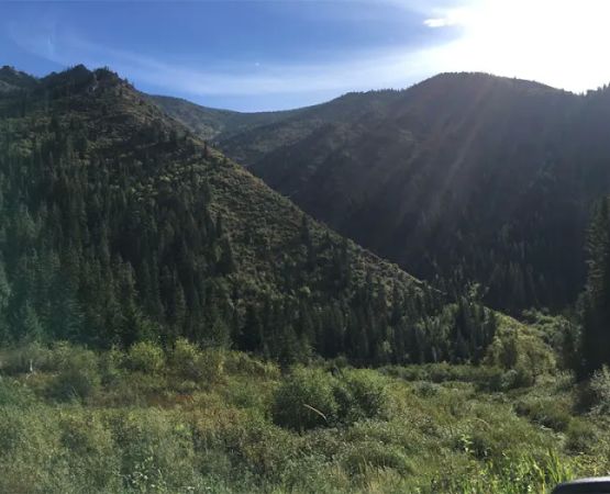 Kelly Forks Campground