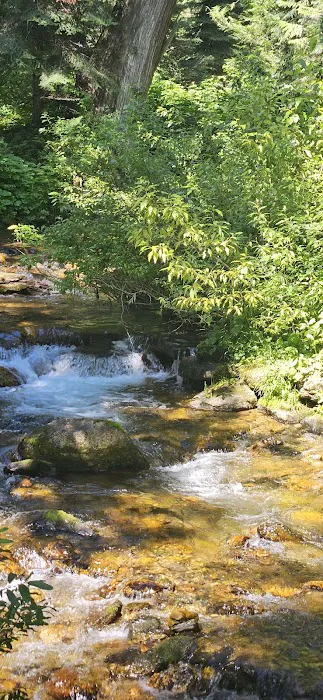 Kelly Forks Campground 3