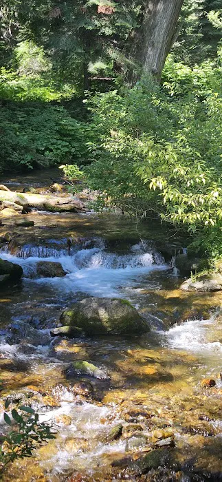 Kelly Forks Campground 8