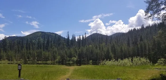 White Sand Campground 7