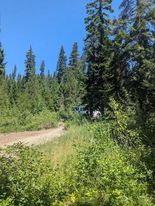 White Sand Campground 5