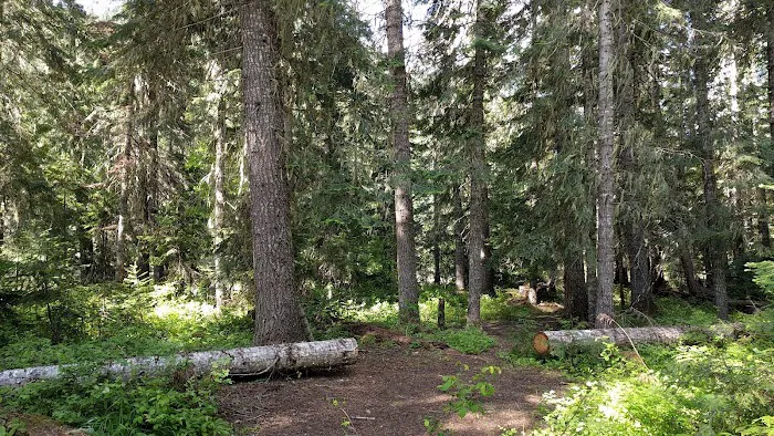 Wendover Campground 6