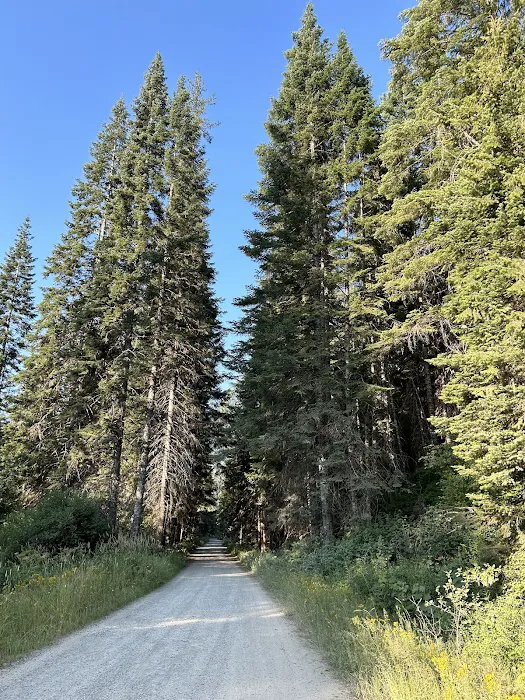 Bumblebee Campground 1