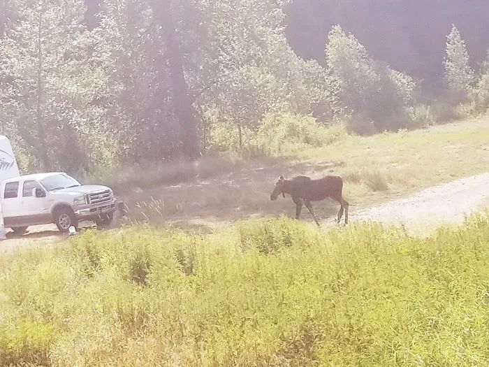 Bumblebee Campground 5