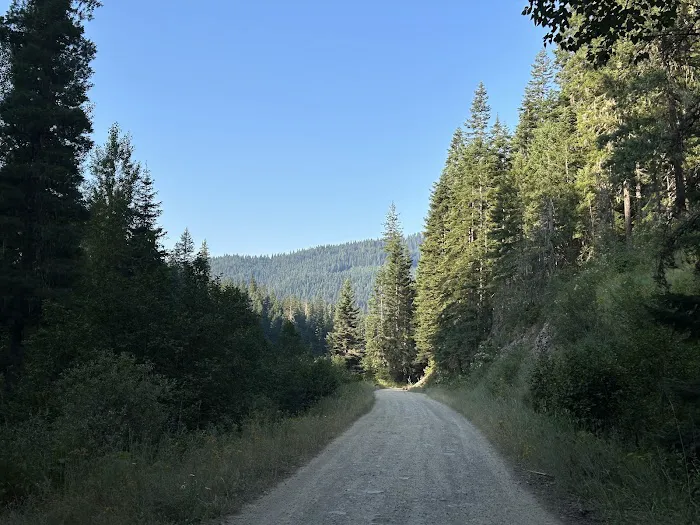 Bumblebee Campground 3