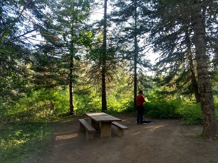 Bumblebee Campground 8
