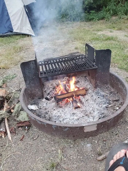 Bumblebee Campground 6