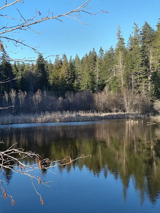 Mokins Bay Campground 2
