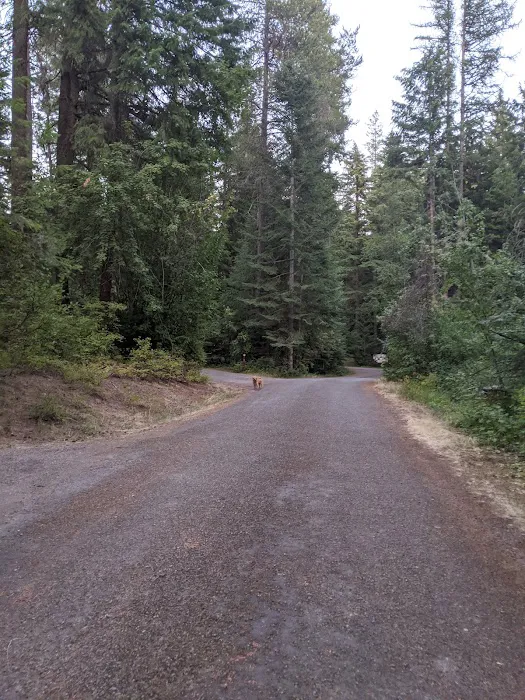 Mokins Bay Campground 1
