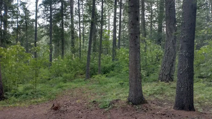 Mokins Bay Campground 4