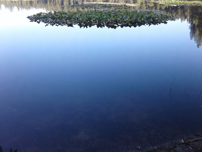 Mokins Bay Campground 5