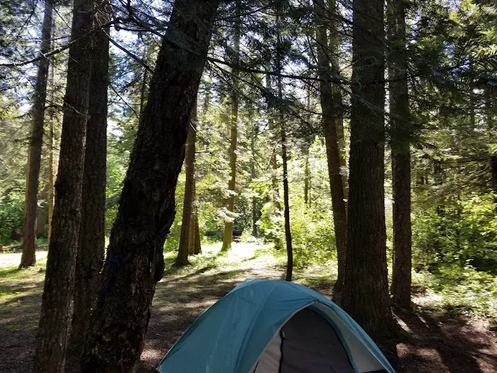 Mokins Bay Campground 8