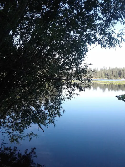 Mokins Bay Campground 9