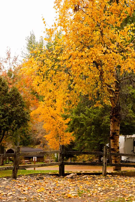 Camp Coeur d'Alene 5