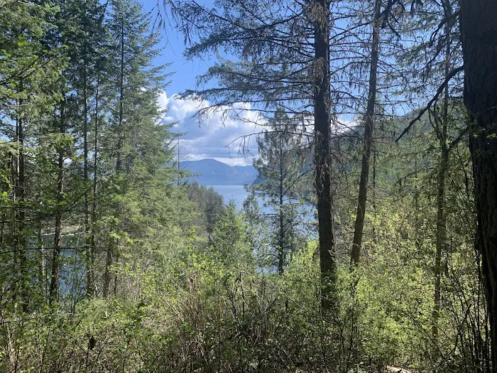 Gilmore Campground 7