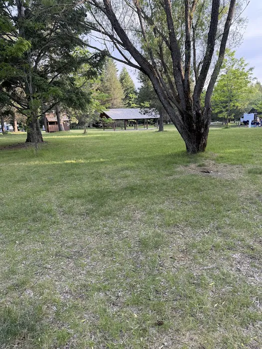 Waldron Campground 2