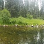 Timberlane Campground