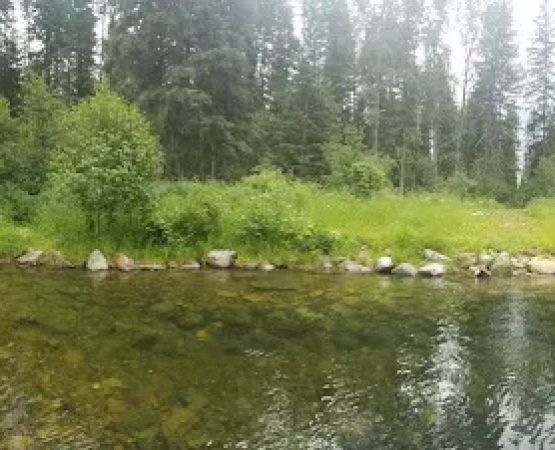 Timberlane Campground