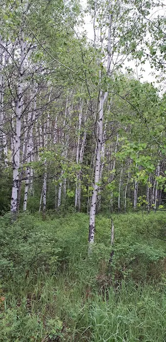 Dunn Creek Flats Campground & Boat Ramp 4