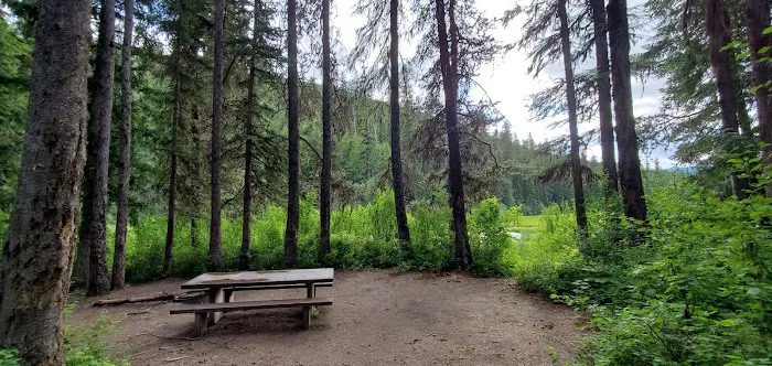 Loon Lake Campground 1