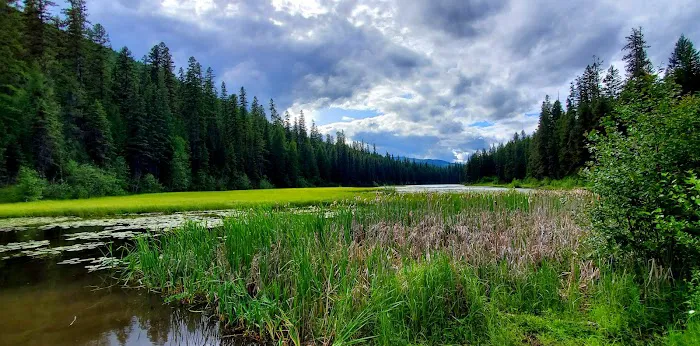 Loon Lake Campground 2