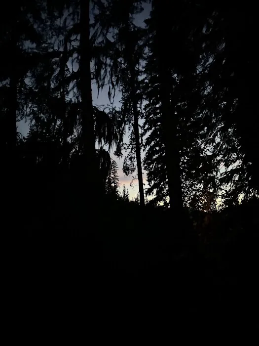 Loon Lake Campground 8