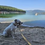 Koocanusa Resort & Marina