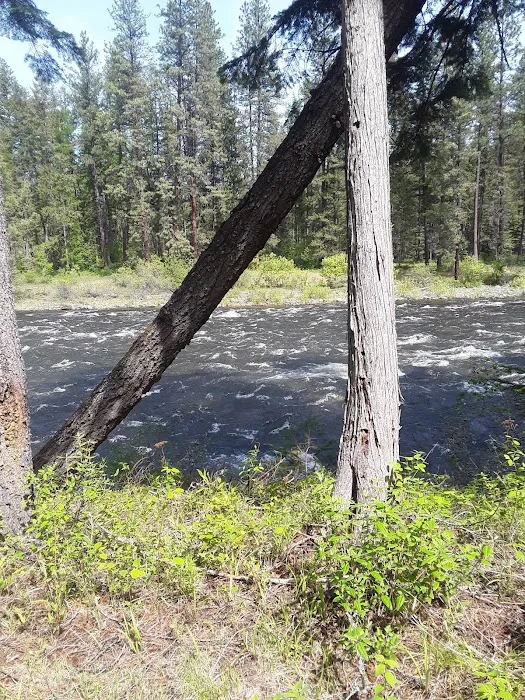 Yaak River Campground 9