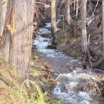 Kilbrennan Lake Campground