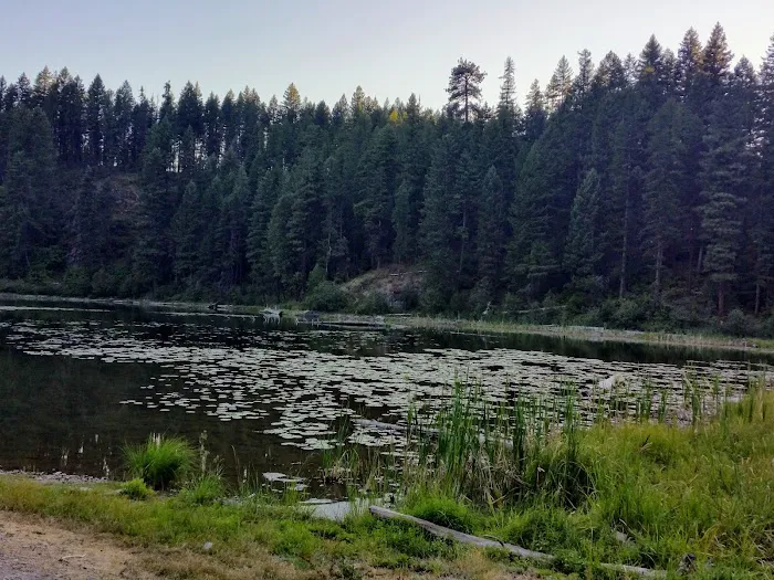 Kilbrennan Lake Campground 5