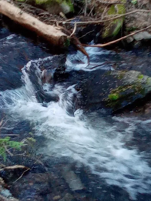 Kilbrennan Lake Campground 6