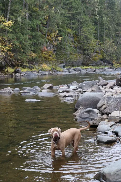Yaak Falls Campground 4