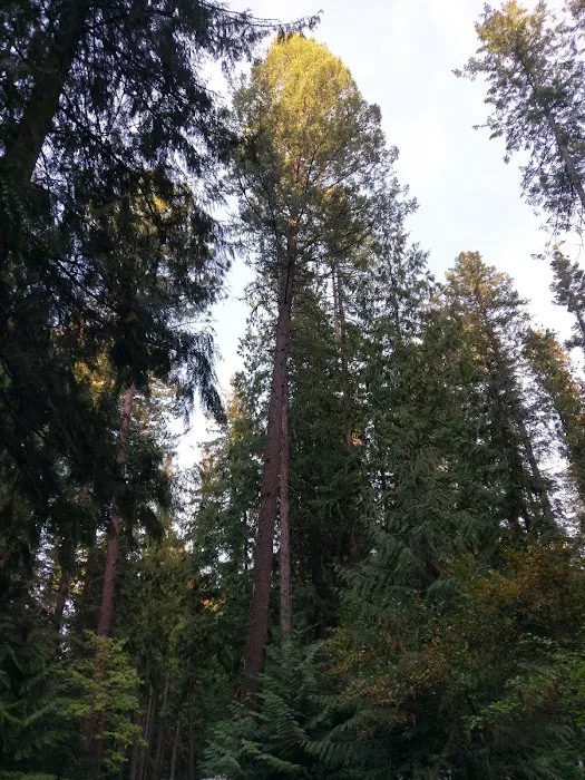 Riley Creek 7