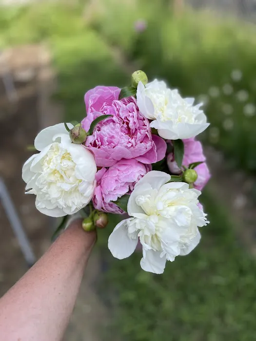 Nature Sings Farm and Gardens LLC 6