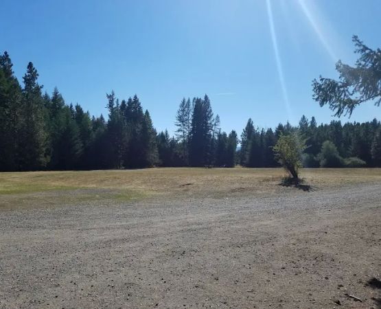 Thimbleberry Group Camp