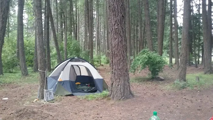 Thimbleberry Group Camp 2